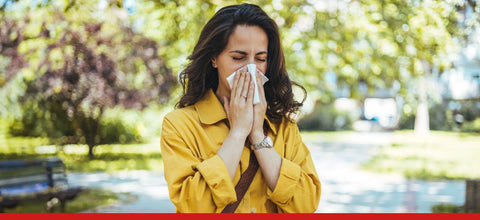 Allergie stagionali e microbiota: come l’intestino influenza la risposta immunitaria