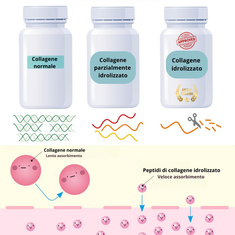 Peptidi di collagene marino idrolizzato