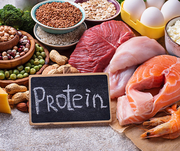Qual è la differenza tra aminoacidi e proteine